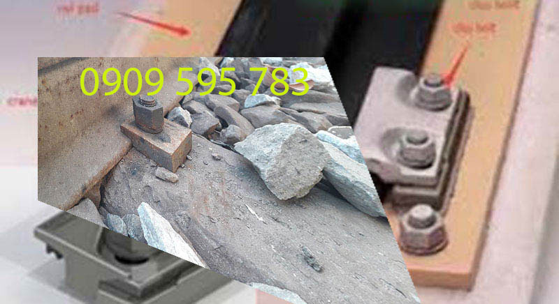 Cóc kẹp ray cho ray P